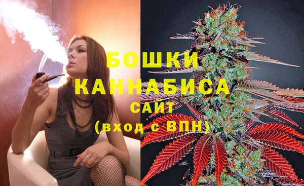 MESCALINE Белокуриха